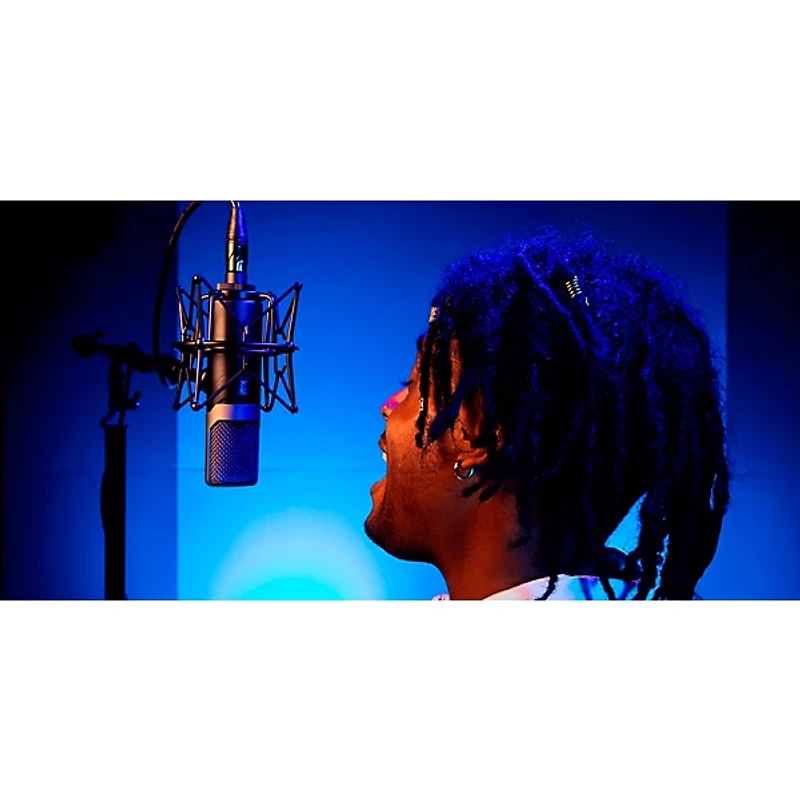 Slate Digital VMS ML-1A Large-Diaphragm Condenser Microphone