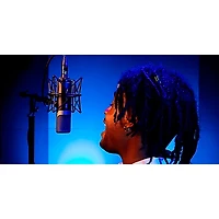 Slate Digital VMS ML-1A Large-Diaphragm Condenser Microphone