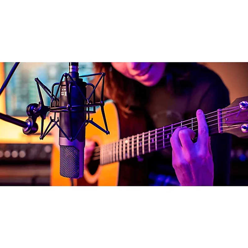 Slate Digital VMS ML-1A Large-Diaphragm Condenser Microphone