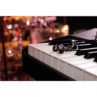 beyerdynamic DT 73 In Ear Monitors for Instruments & Keys