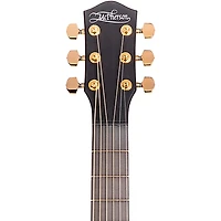 McPherson Carbon Series Touring with Gold Hardware Acoustic-Electric Guitar