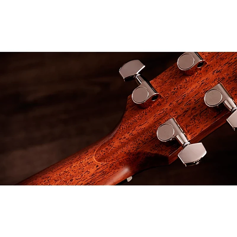Taylor Gold Label 517e Grand Pacific Acoustic-Electric Guitar -