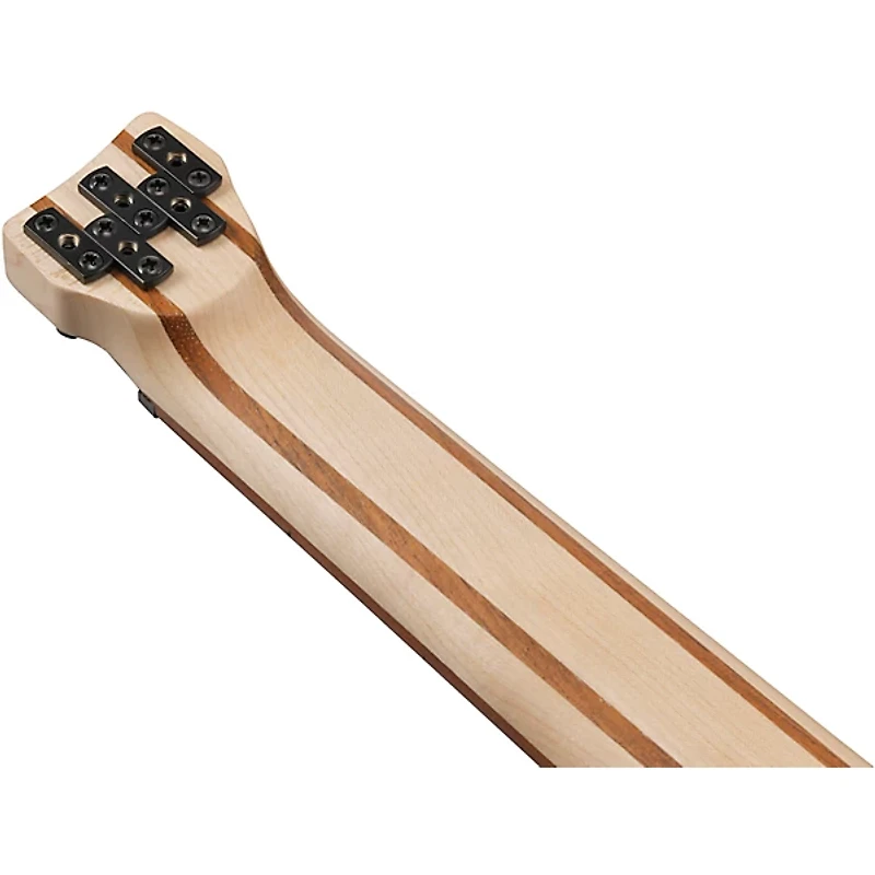 Ibanez EHB605 5-String Electric Bass Guitar