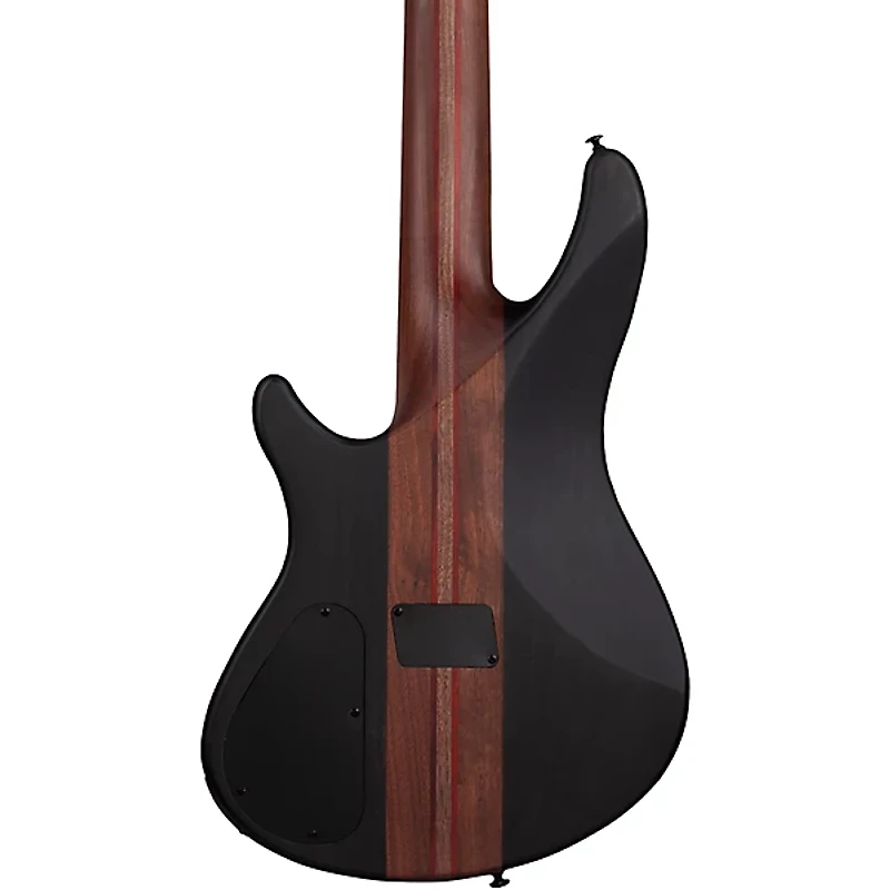 Schecter Guitar Research Charles Berthoud CB-5 5-String Electric Bass Guitar See Thru Black Satin