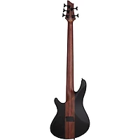 Schecter Guitar Research Charles Berthoud CB-5 5-String Electric Bass Guitar See Thru Black Satin