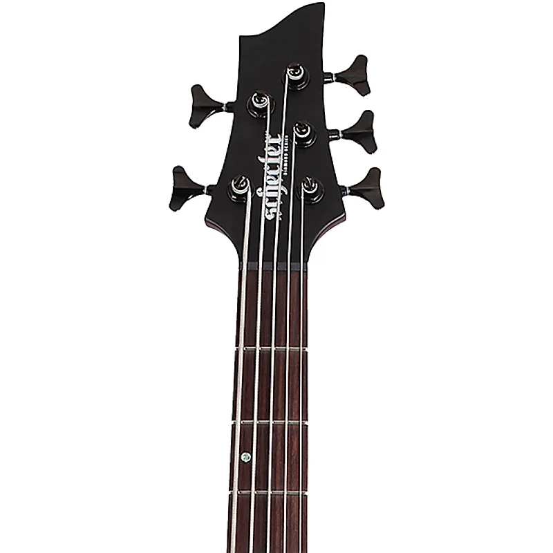 Schecter Guitar Research Charles Berthoud CB-5 5-String Electric Bass Guitar See Thru Black Satin