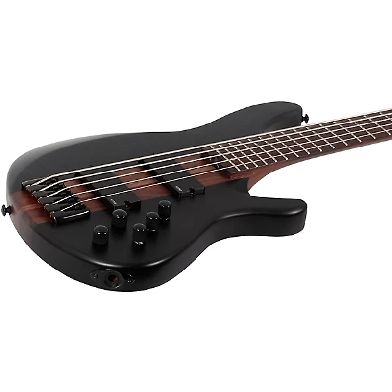 Schecter Guitar Research Charles Berthoud CB-5 5-String Electric Bass Guitar See Thru Black Satin