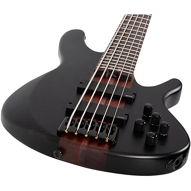 Schecter Guitar Research Charles Berthoud CB-5 5-String Electric Bass Guitar See Thru Black Satin
