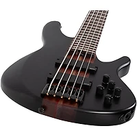 Schecter Guitar Research Charles Berthoud CB-5 5-String Electric Bass Guitar See Thru Black Satin