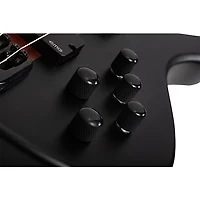 Schecter Guitar Research Charles Berthoud CB-5 5-String Electric Bass Guitar See Thru Black Satin