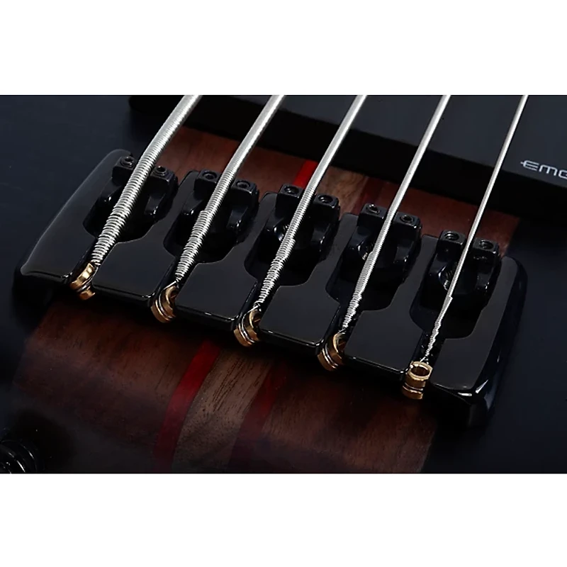 Schecter Guitar Research Charles Berthoud CB-5 5-String Electric Bass Guitar See Thru Black Satin