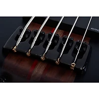 Schecter Guitar Research Charles Berthoud CB-5 5-String Electric Bass Guitar See Thru Black Satin