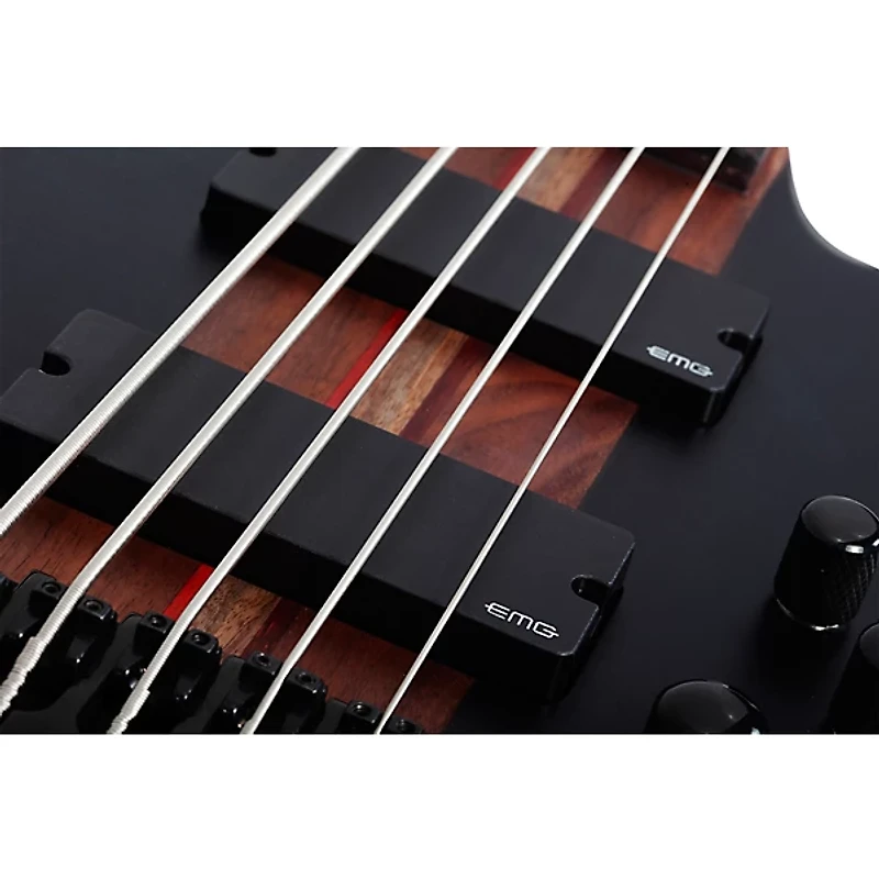 Schecter Guitar Research Charles Berthoud CB-5 5-String Electric Bass Guitar See Thru Black Satin