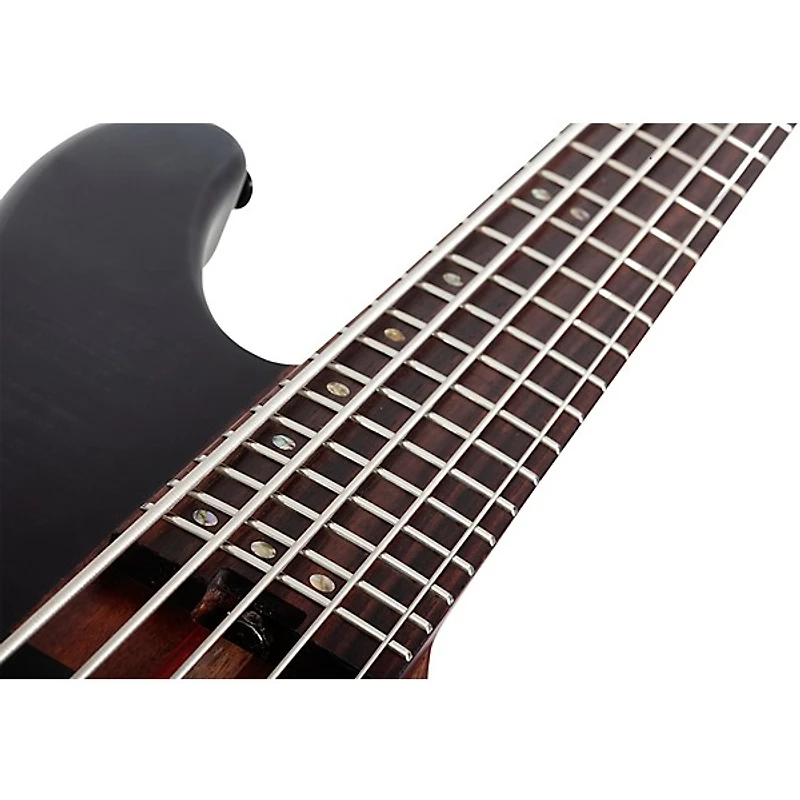 Schecter Guitar Research Charles Berthoud CB-5 5-String Electric Bass Guitar See Thru Black Satin