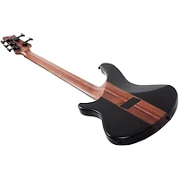 Schecter Guitar Research Charles Berthoud CB-5 5-String Electric Bass Guitar See Thru Black Satin