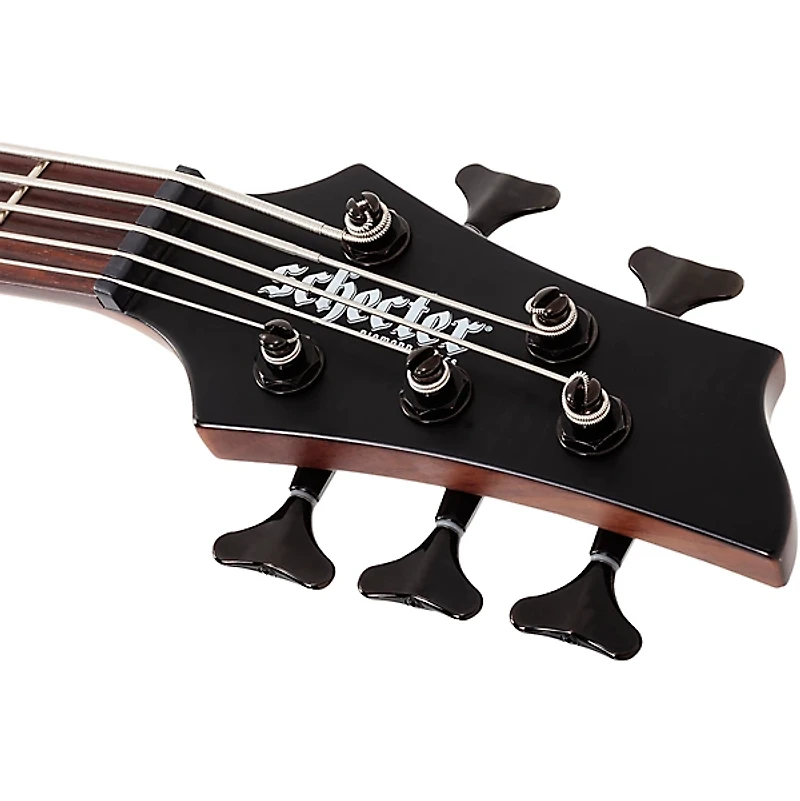 Schecter Guitar Research Charles Berthoud CB-5 5-String Electric Bass Guitar See Thru Black Satin
