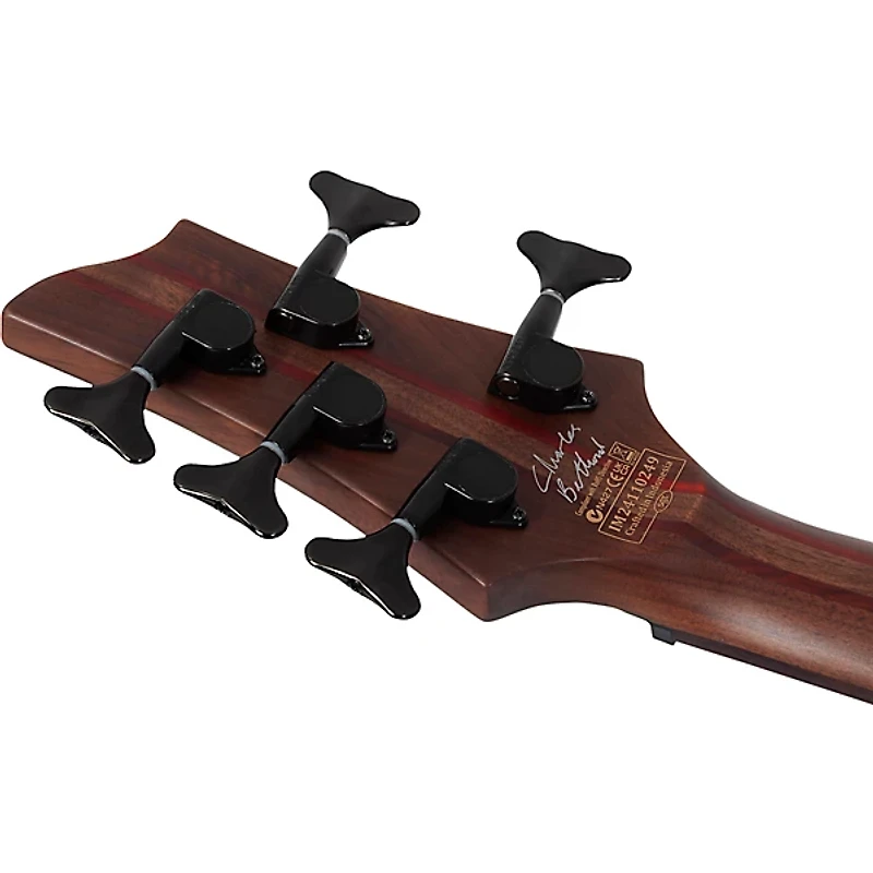 Schecter Guitar Research Charles Berthoud CB-5 5-String Electric Bass Guitar See Thru Black Satin