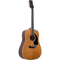 Mitchell Motion D150 Dreadnought Acoustic Guitar Pack - Natural