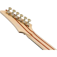 Ibanez IV1RG Visions Electric Guitar