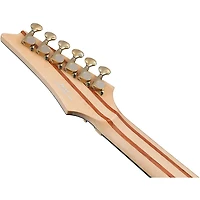 Ibanez IV2RG Visions Electric Guitar