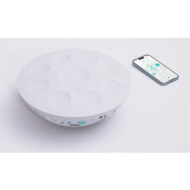 Roland MN-10 Mood Pan