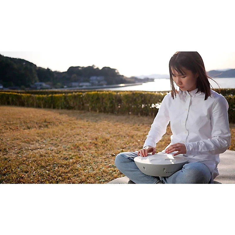 Roland MN-10 Mood Pan