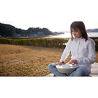 Roland MN-10 Mood Pan