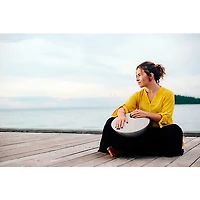 Roland MN-10 Mood Pan