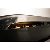 Hohner Special 20 Harmonica