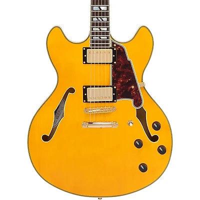 D'Angelico Excel DC Semi-Hollow Electric Guitar