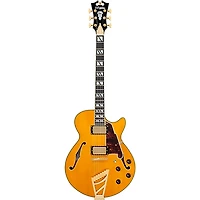 D'Angelico Excel SS Semi-Hollow Electric Guitar