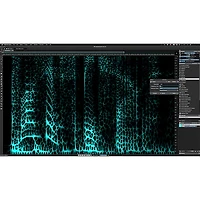 Steinberg DAC SpectraLayers Pro 12 Audio Plug-in