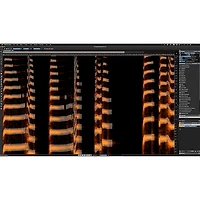 Steinberg DAC SpectraLayers Pro 12 Audio Plug-in