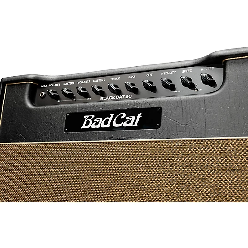 Bad Cat Mod Shop Black Cat 30 30W 1x12 Guitar Combo Amp by Mark Sampson Black