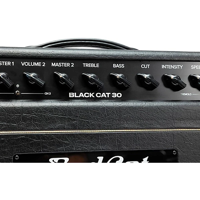 Bad Cat Mod Shop Black Cat 30 30W Guitar Amp Head by Mark Sampson Black