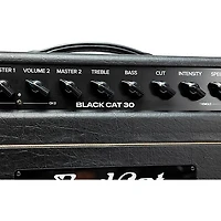 Bad Cat Mod Shop Black Cat 30 30W Guitar Amp Head by Mark Sampson Black