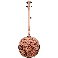 Deering Goodtime Zombie Killer III Resonator Banjo