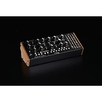Moog DFAM, Labyrinth, Mother-32 Synthesizer Module Bundle & Accessory Kit