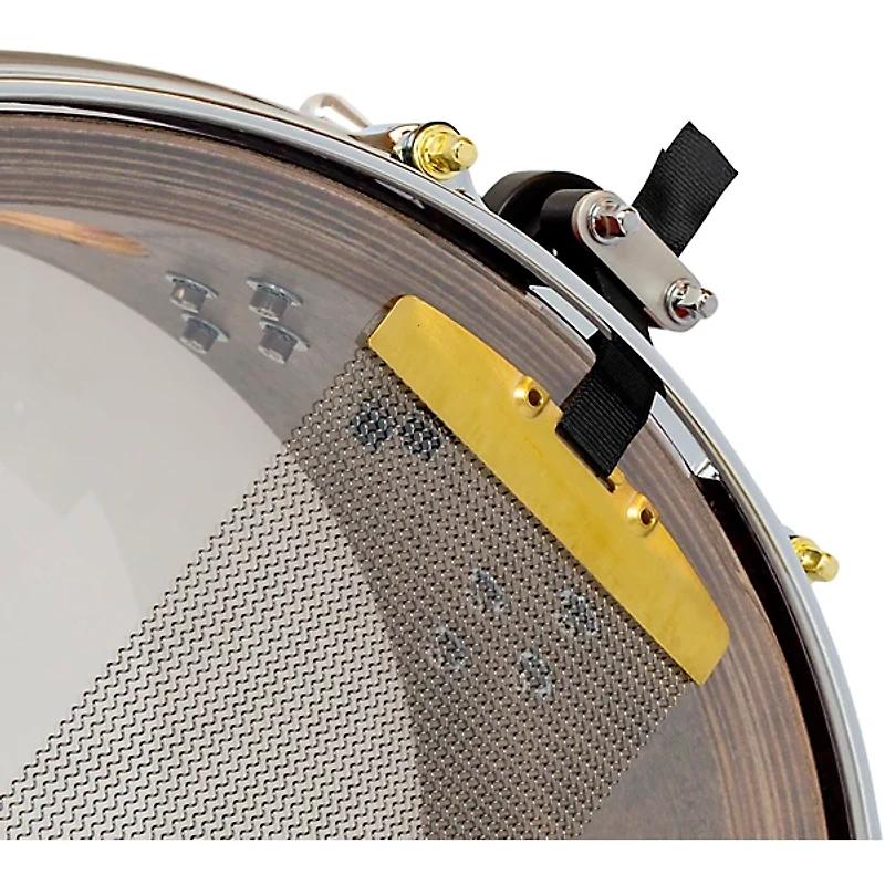 SJC Drums 25th Anniversary USA Custom Maple Snare Drum -