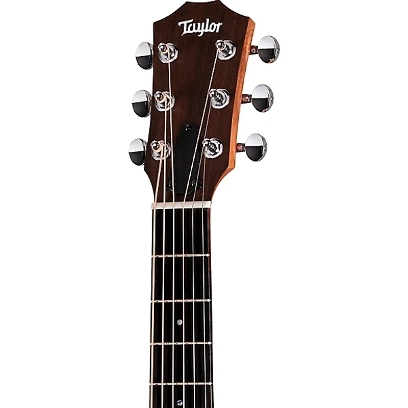 Taylor Guitars 4 Vets GS Mini Americana Special-Edition Acoustic Guitar Custom Graphic