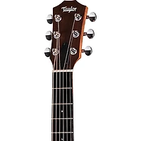 Taylor Guitars 4 Vets GS Mini Americana Special-Edition Acoustic Guitar Custom Graphic