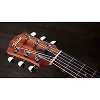 Taylor Guitars 4 Vets GS Mini Americana Special-Edition Acoustic Guitar Custom Graphic