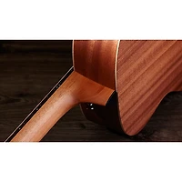 Taylor Guitars 4 Vets GS Mini Americana Special-Edition Acoustic Guitar Custom Graphic