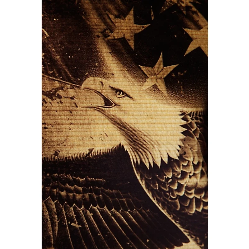 Taylor Guitars 4 Vets GS Mini Americana Special-Edition Acoustic Guitar Custom Graphic