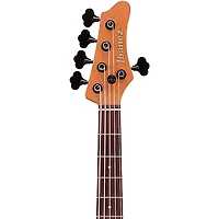 Ibanez Mode MDM1605 5-String Electric Bass Guitar -