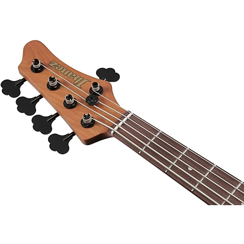 Ibanez Mode MDM1605 5-String Electric Bass Guitar -