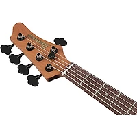 Ibanez Mode MDM1605 5-String Electric Bass Guitar -