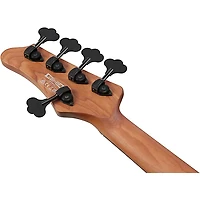 Ibanez Mode MDM1605 5-String Electric Bass Guitar -