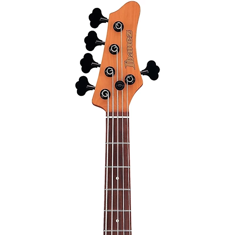 Ibanez Mode MDM1605 5-String Electric Bass Guitar -