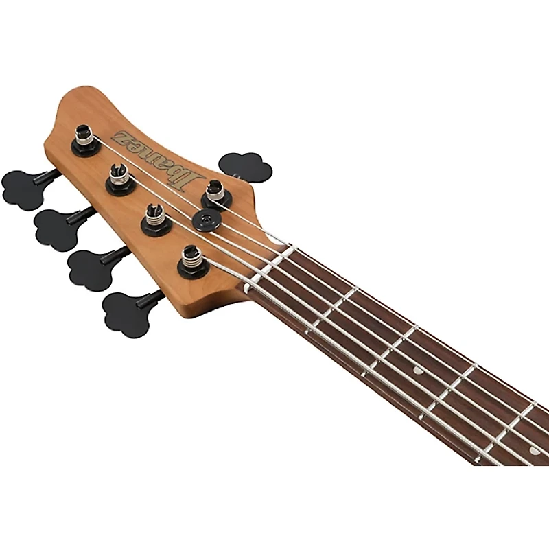 Ibanez Mode MDM1605 5-String Electric Bass Guitar -